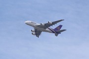 IMG019.JPG