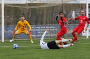 IMG033.JPG