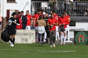 IMG006.JPG