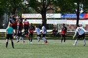 IMG019.JPG