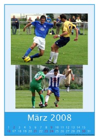 Maerz_2008