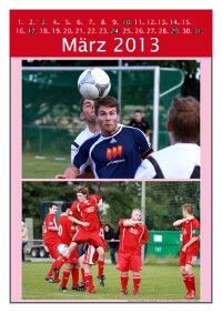 Maerz_2013